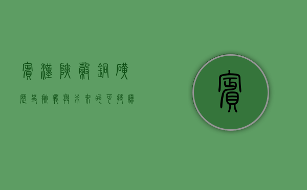 宾汉峡谷铜矿，历史、挑战与未来的可持续之路