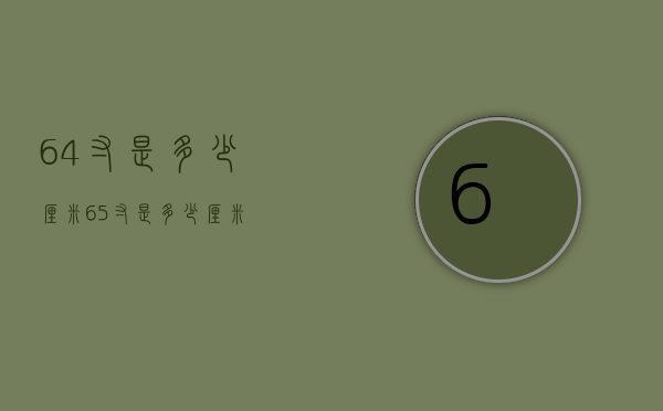 6.4寸是多少厘米（65寸是多少厘米?）