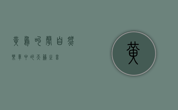 黄鸟叫声，自然乐章中的天籁之音