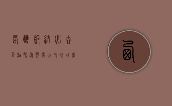 西双版纳必去景点，探索热带天堂的自然与文化瑰宝