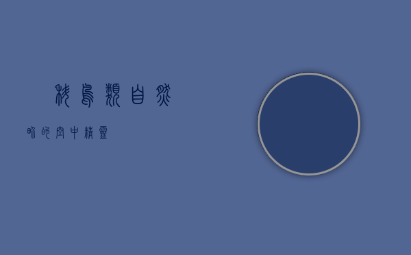 鹟科鸟类，自然界的空中精灵