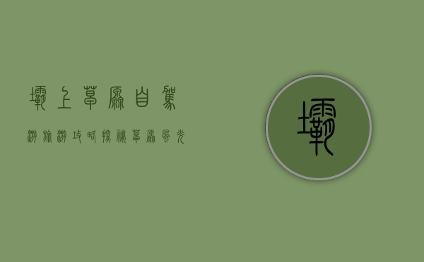 坝上草原自驾游旅游攻略，探秘草原风光，畅享自由之旅