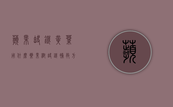 苹果缺铁黄叶用什么药？（果树缺铁补救方法）