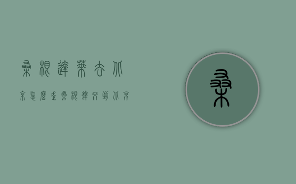 桑根达莱去北京怎么走（桑根达来到北京）