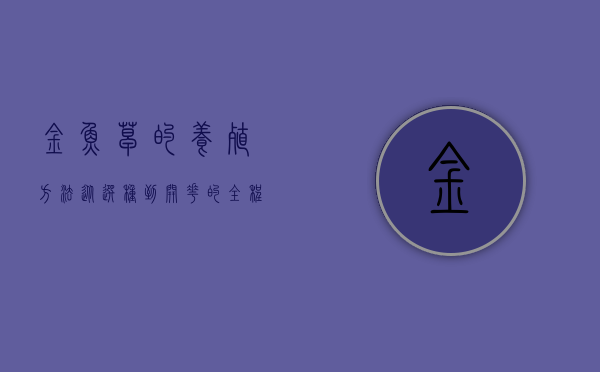 金鱼草的养殖方法，从选种到开花的全程指南
