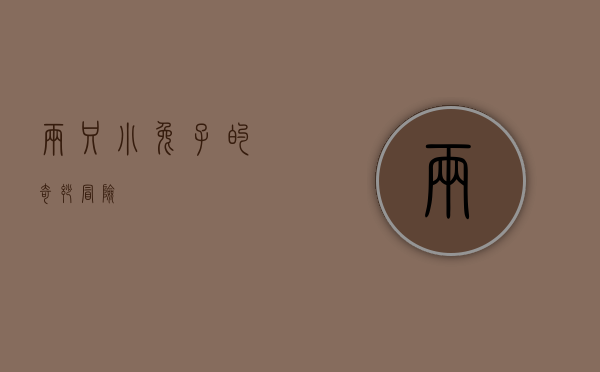 两只小兔子的奇妙冒险