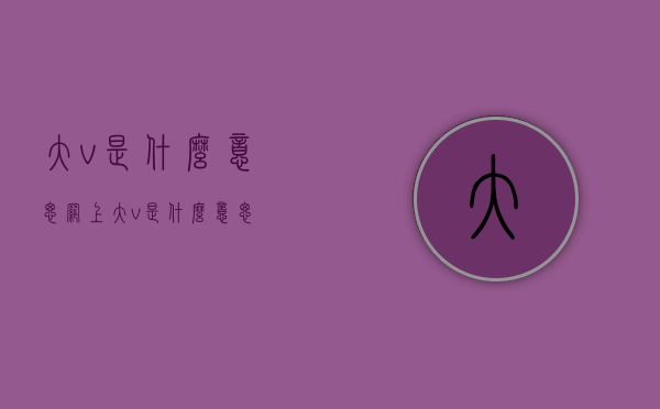 大v是什么意思（网上大v是什么意思）
