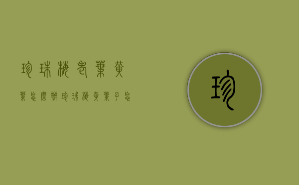 珍珠梅老叶黄叶怎么办（珍珠梅黄叶子怎么办）