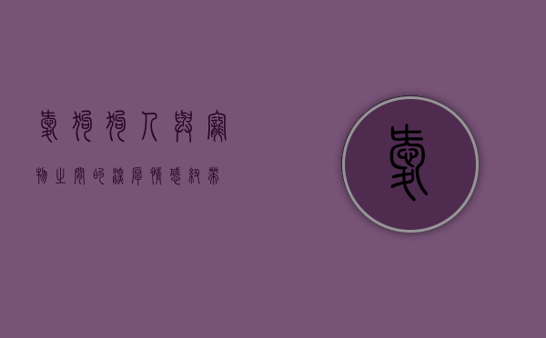 爱狗狗，人与宠物之间的深厚情感纽带
