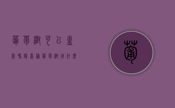 葡萄树可以盆栽吗（阳台种葡萄树用什么盆）（葡萄树适合盆栽吗）