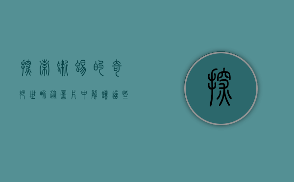 探索蜥蜴的奇妙世界，从图片中解读这些古老生物的魅力