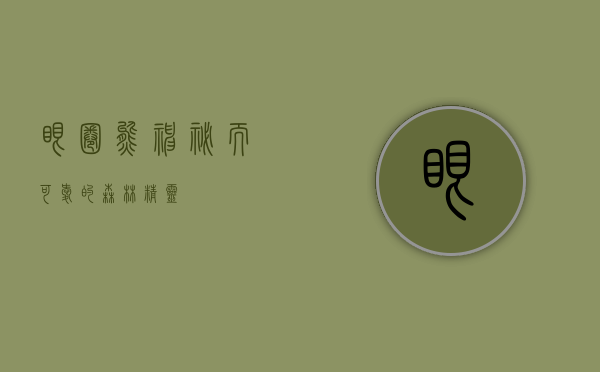 眼圈熊，神秘而可爱的森林精灵