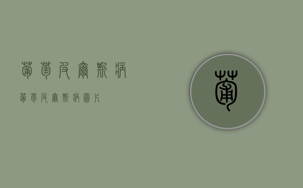 葡萄皮尔斯病（葡萄皮尔斯病图片）
