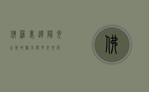 佛罗里达，阳光之州的魅力与多元文化