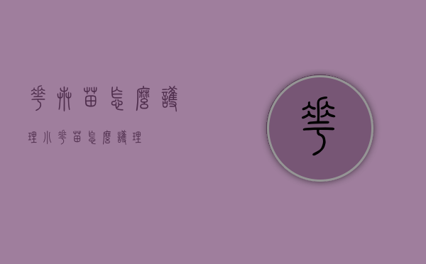 花卉苗怎么护理（小花苗怎么护理）