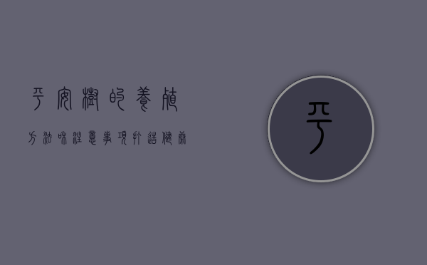 平安树的养殖方法和注意事项，打造健康绿植的全面指南