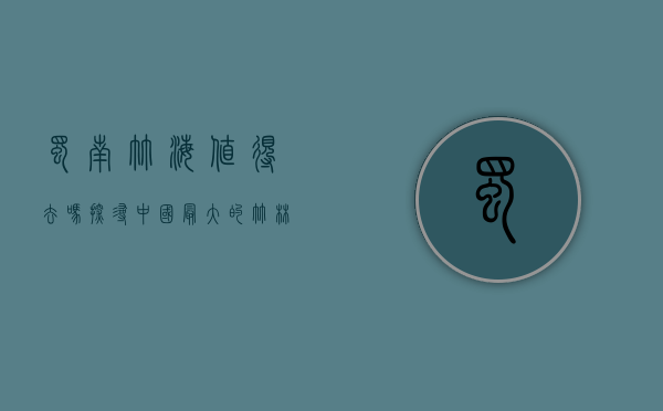 蜀南竹海值得去吗？探寻中国最大的竹林秘境
