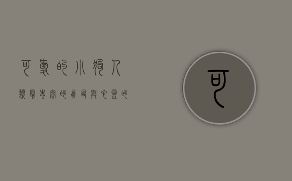 可爱的小狗，人类最忠实的朋友与心灵的慰藉
