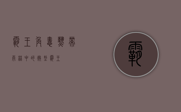 霸王角蛙，热带雨林中的微型霸王
