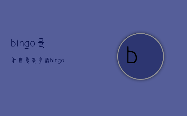 bingo是什么意思（粤语bingo是什么意思）