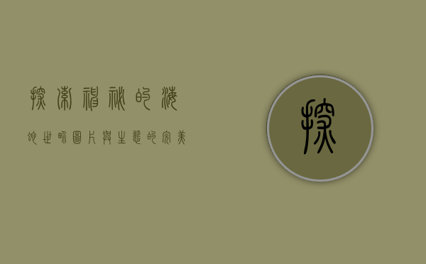 探索神秘的海蛇世界，图片与生态的完美结合