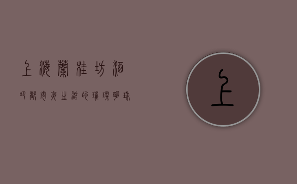 上海兰桂坊酒吧，都市夜生活的璀璨明珠