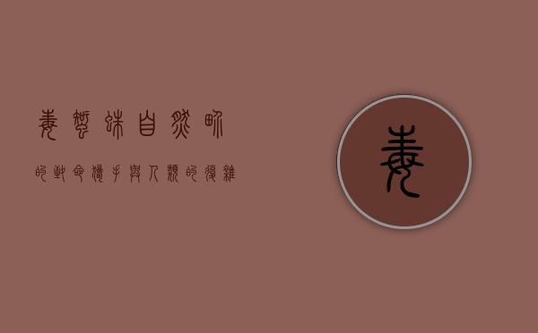 毒蜘蛛，自然界的致命猎手与人类的复杂关系