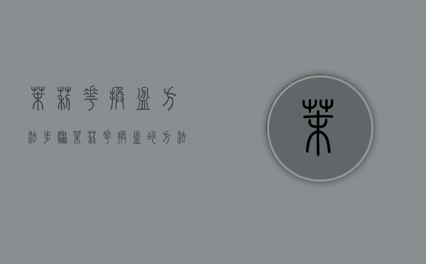 茉莉花换盆方法步骤（茉莉花换盆的方法）（茉莉花盆栽换盆）