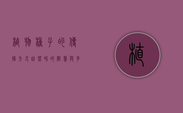 植物种子的传播方式，自然界的智慧与多样性