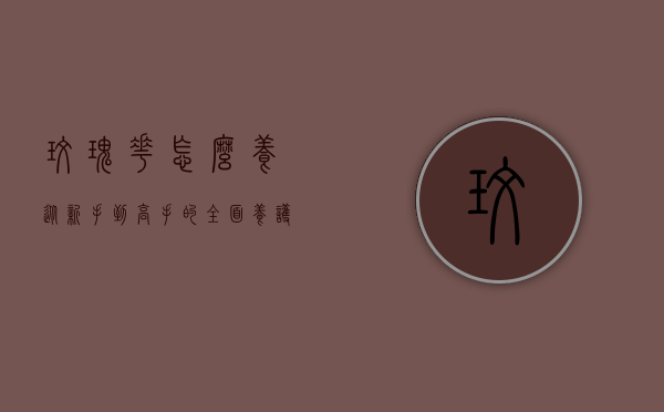 玫瑰花怎么养？从新手到高手的全面养护指南