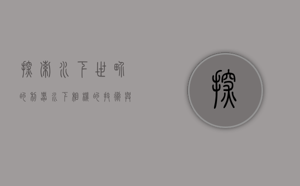 探索水下世界的利器，水下相机的技术与应用