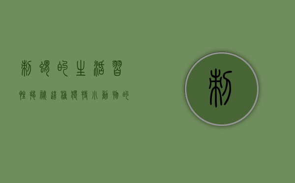 刺猬的生活习性，揭秘这种独特小动物的日常行为
