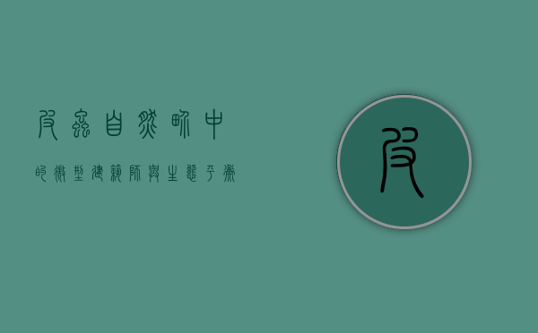 皮虫，自然界中的微型建筑师与生态平衡的守护者