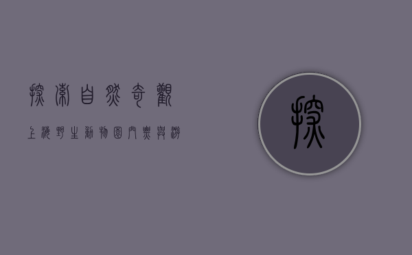 探索自然奇观，上海野生动物园门票与游玩全攻略