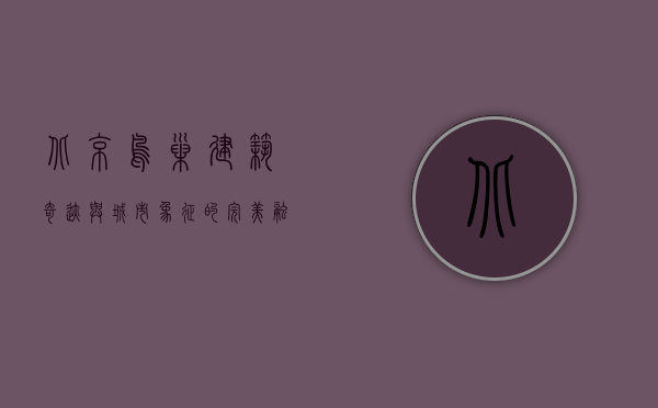 北京鸟巢，建筑奇迹与城市象征的完美融合