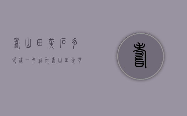 寿山田黄石多少钱一克（福州寿山田黄多少钱一克）
