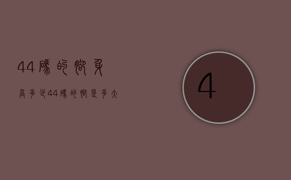 44码的脚身高多少（44码的脚是多大）