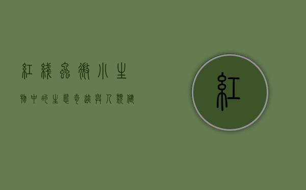 红线虫,微小生物中的生态奇迹与人类健康的双刃剑 红线虫,微小生物中的生态奇迹与人类健康的双刃剑
