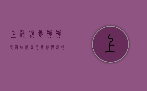 上海领养狗狗的网站，为爱犬找到温暖的家