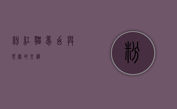 粉红猫，梦幻与现实的交织