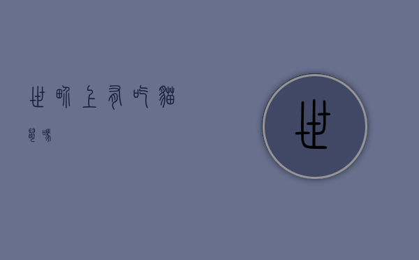 世界上有吃猫鼠吗？