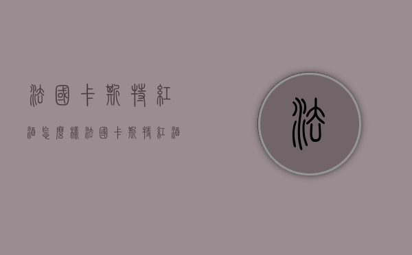 法国卡斯特红酒怎么样（法国卡斯特红酒怎么样好喝吗）