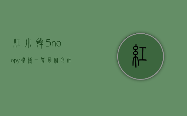 红小胖Snoopy微博，一只萌宠的社交网络传奇