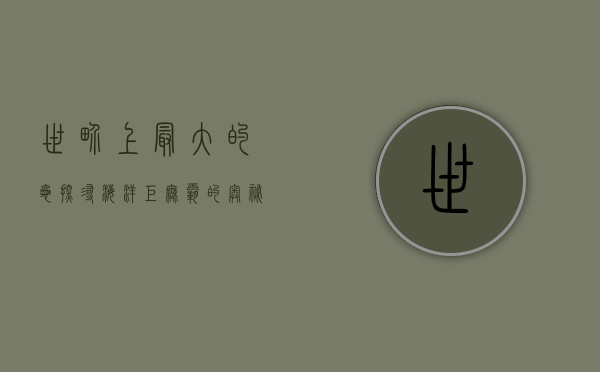 世界上最大的龟—探寻海洋巨无霸的奥秘