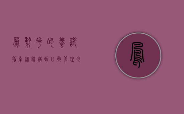 凤梨花的养护指南，从选购到日常管理的全面解析