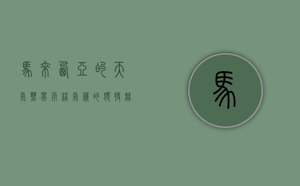 马来西亚的天气，热带雨林气候的独特魅力与挑战