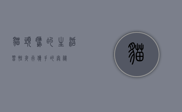 猫头鹰的生活习性，夜行猎手的奥秘