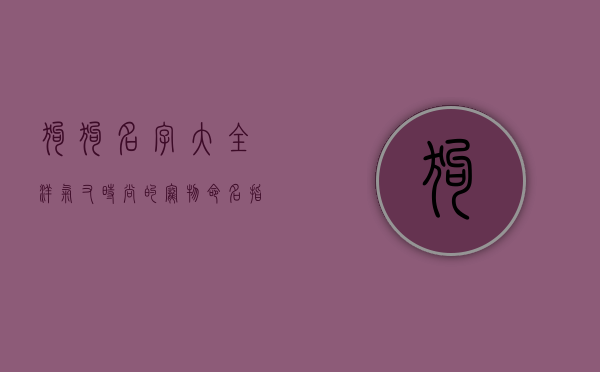 狗狗名字大全，洋气又时尚的宠物命名指南