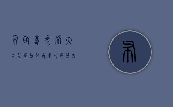 布谷鸟叫声，大自然的旋律与生命的节奏