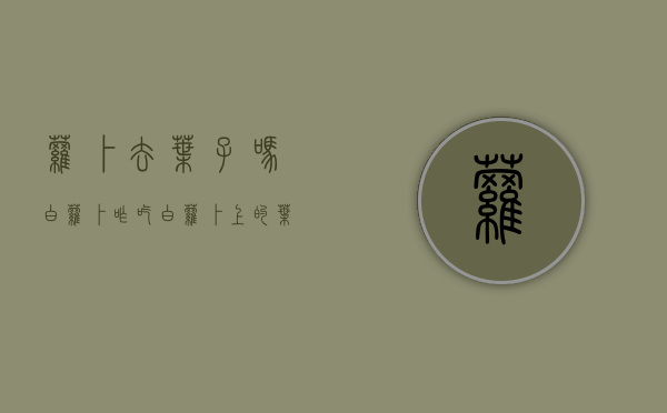 萝卜去叶子吗（白萝卜咋吃）（白萝卜上的叶子怎样吃）